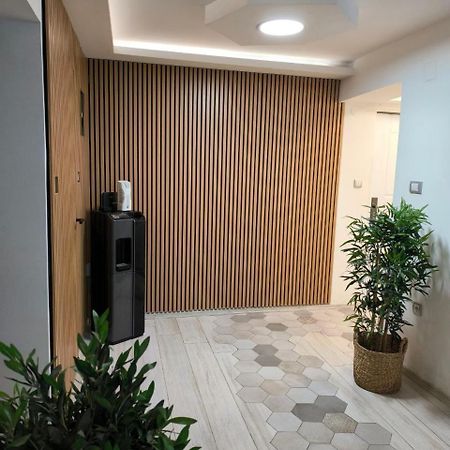 Apartman Tea Novi Sad Dış mekan fotoğraf