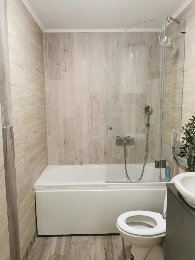 Apartman Tea Novi Sad Dış mekan fotoğraf